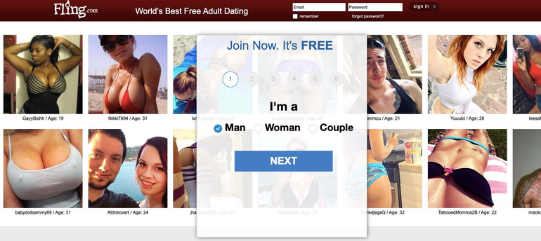 Main Features of Fling — Absolutely Free Sex Website